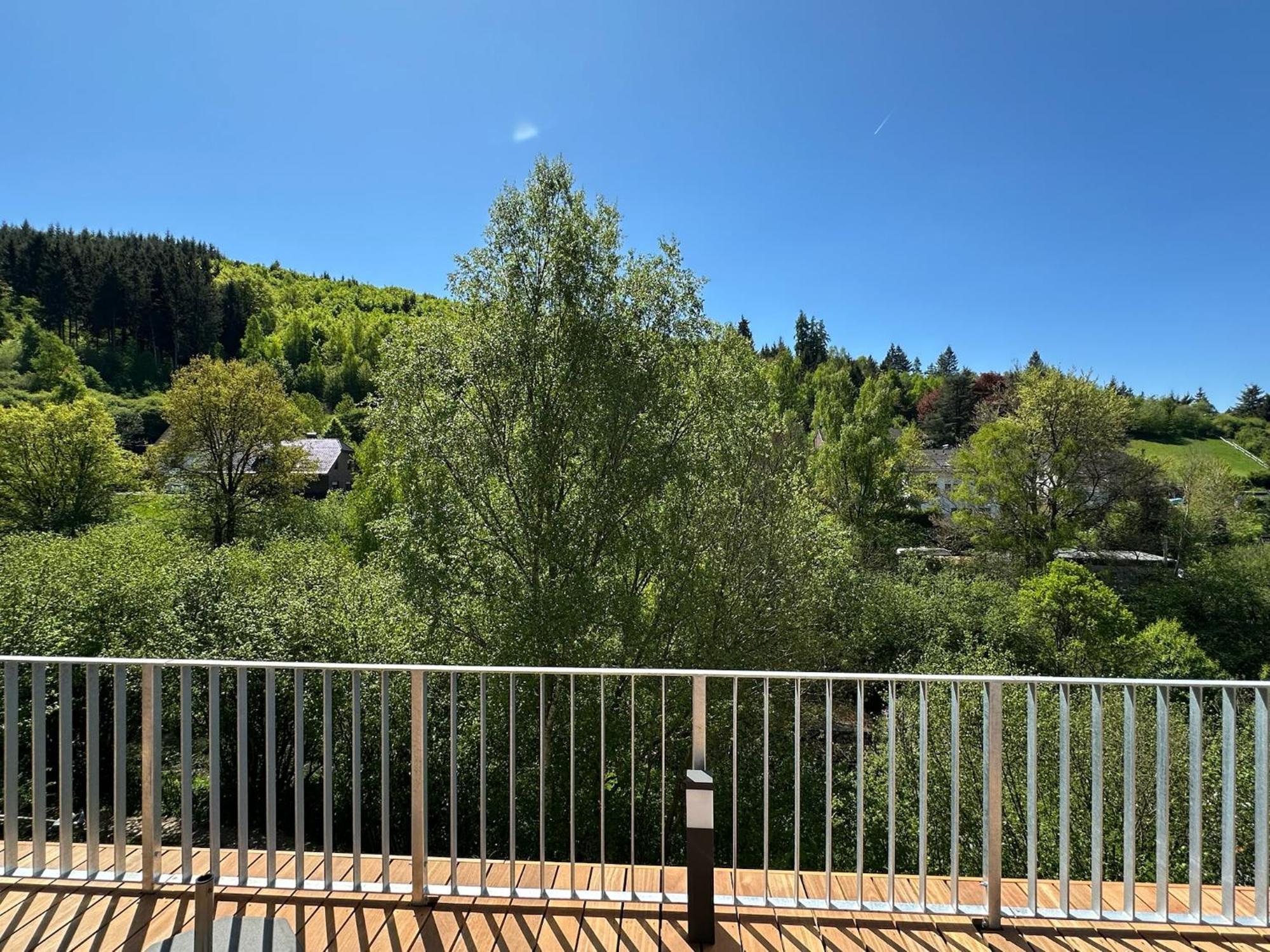 Villa Holgenbach - Penthouse- Und Ferienwohnung Im Nationalpark Eifel Schleiden Exterior foto